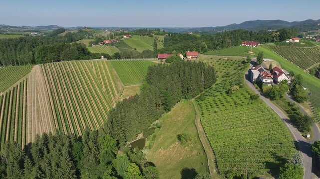 From above, small family-run winemaking farmsteads dot Styrian countryside, surrounded by blooming vineyards, rustic barns and stone walls glow in amber tones, essence of traditional viticulture