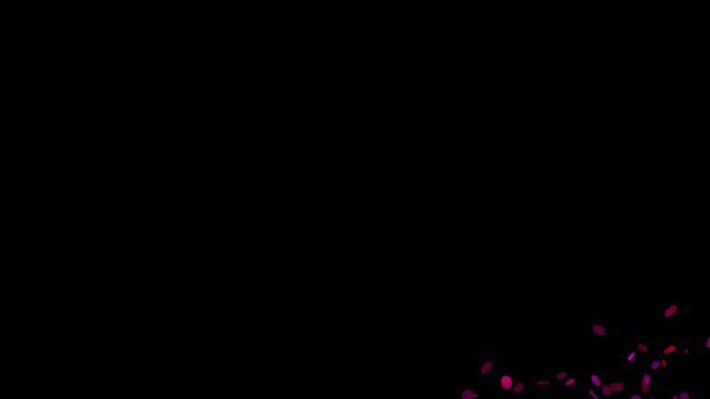 Purple confetti bursts across black screen