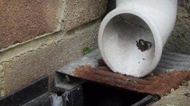 House drainage close up sliding camera motion stock footage