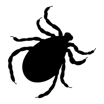 tick silhouette, icon, vector