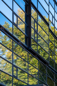 Modern glass building architecture facade with diagonal pattern and abstract reflection of trees creating a crisp urban background texture