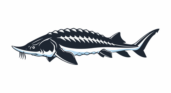 Stylized dark sturgeon with light blue accents swims