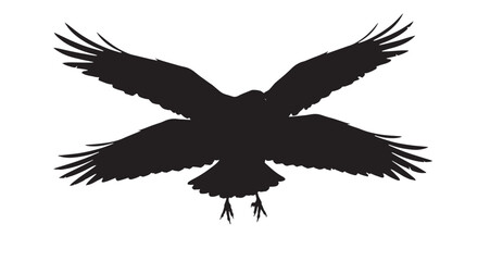 Fototapeta premium Four Wing Raven Silhouette vector graphic illustration featuring a bold black silhouette of two majestic ravens or crows flying with wings dramatically spread, creating an impactful visual design