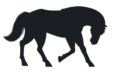 Obraz premium Gaiting horse silhouette. Domestic animal in moving pose flat vector illustration. Cartoon graceful farm horse silhouette on white background