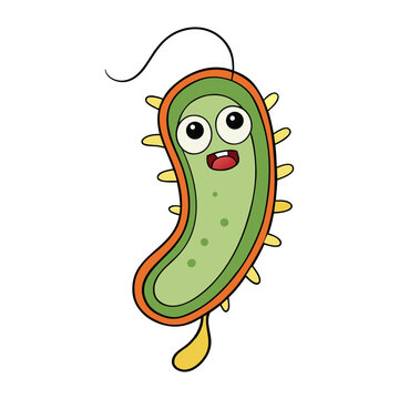 Bacterial cell structure includes a cell wall, plasma membrane, cytoplasm, ribosomes, and DNA in the nucleoid region, all working together to support life and reproduction.
