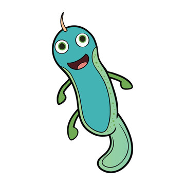 Bacterial cell structure includes a cell wall, plasma membrane, cytoplasm, ribosomes, and DNA in the nucleoid region, all working together to support life and reproduction.
