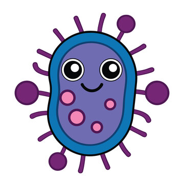 Bacterial cell structure includes a cell wall, plasma membrane, cytoplasm, ribosomes, and DNA in the nucleoid region, all working together to support life and reproduction.
