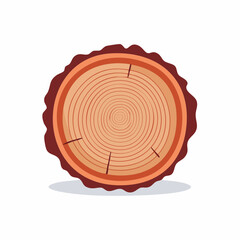 Fototapeta premium Cross-section of a tree trunk with growth rings