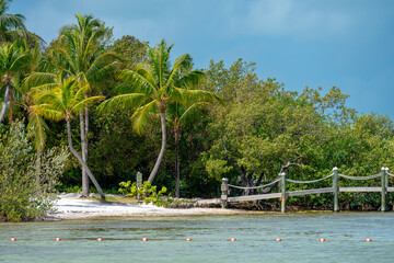 Tropical beach with leaning palm trees and white sand. Palm trees leaning over white sand beach with turquoise water and safety buoys in Key West Florida. © Vadim