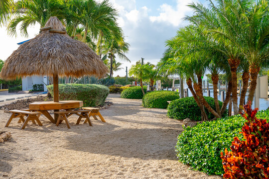 Lush tropical garden with palm trees and colorful plants. Ground level view of landscaped resort grounds featuring crotons, palm trees, and a tiki structure.