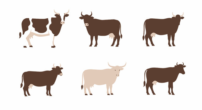Set of cows in different colors isolated on white background vector illustration