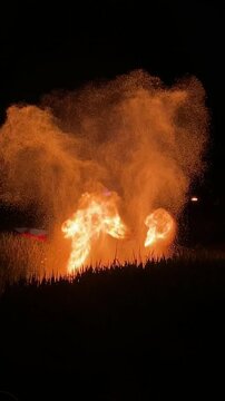 Striking iron flower of China's intangible cultural heritage.
