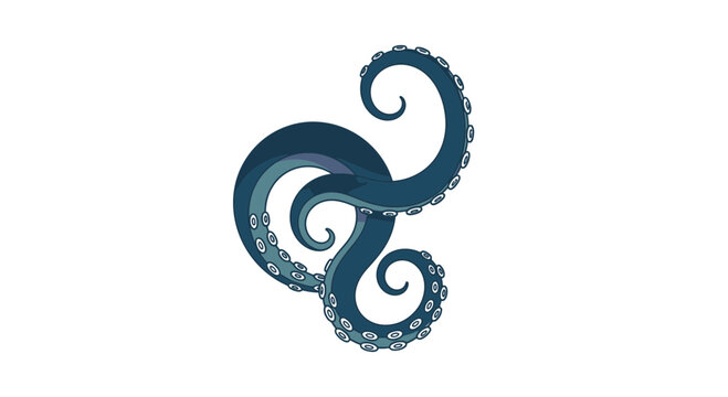 Tentacle of an octopus curled up.