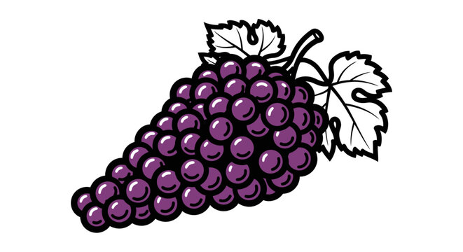 Fresh purple grape bunch with leaves isolated on white background