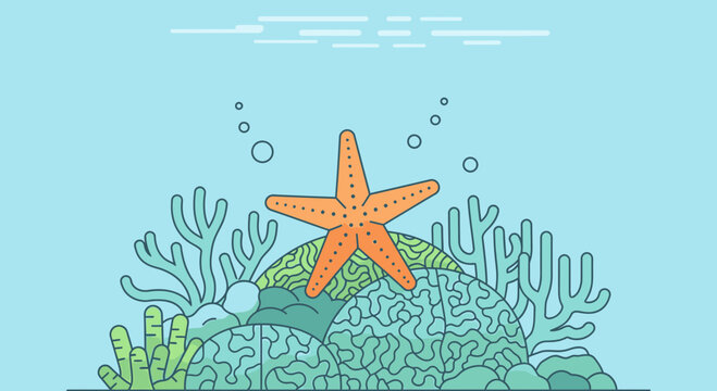 Orange starfish on coral reef.