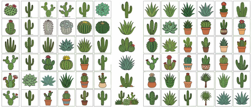 Collection of various cactus and succulent illustrations.