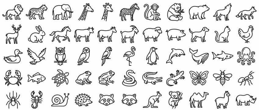 Collection of various animal line icons.