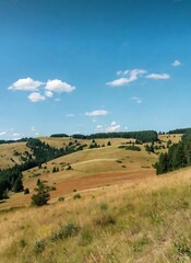 Fototapeta premium Rolling hills with trees and grass under a blue sky with white clouds on a sunny day in a rural landscape