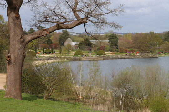 View across towards the lake to the Italian Gardens, Trentham Park and Gardens, Stoke, Staffordshire, England