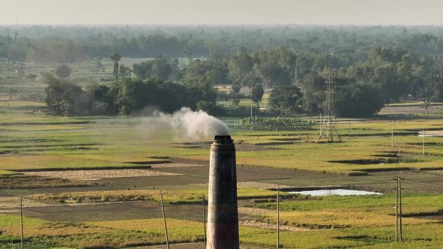 Aerial view of a tall brick kiln chimney's white smoke contrasting with vibrant green and golden rice fields, power lines, and distant trees, Bogura, Rajshahi Division, Bangladesh.