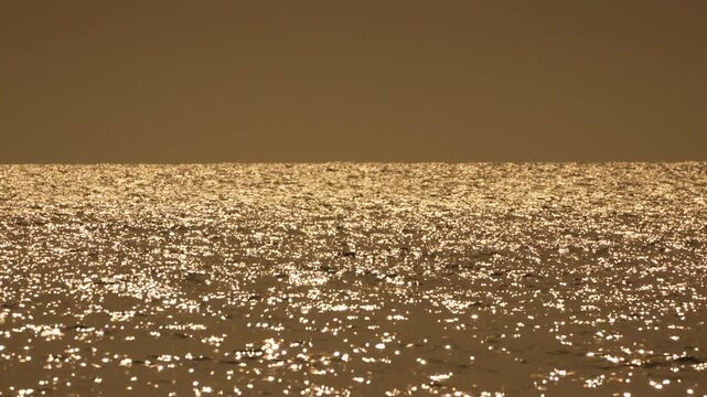 Ocean dolphin sunset golden waves shimmering on the sea surface as dolphins jump in the distance under a warm sunset sky