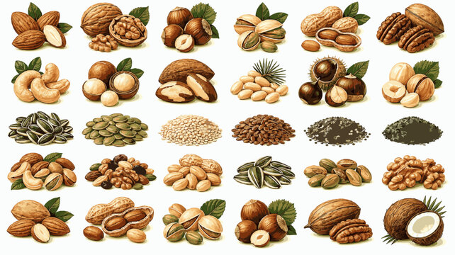 Nuts and Seeds Pack. Healthy Snack Collection