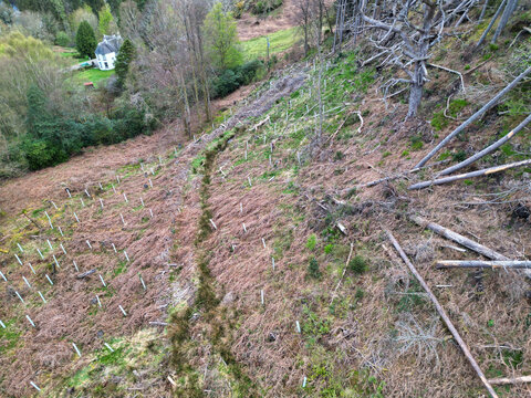 April 19th, 2026. Aerial View of Balmaha Valley Glasgow Landscape During Sunset Time. The village is a popular tourist destination for picnickers and day trippers from Glasgow