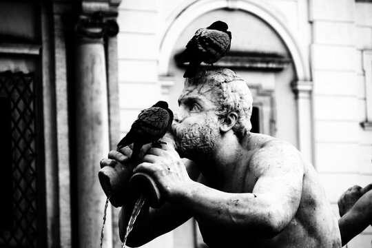 Navona