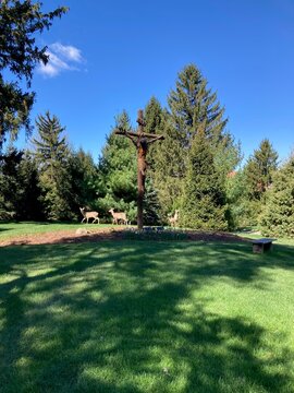 deer surrounding large wooden crucifix