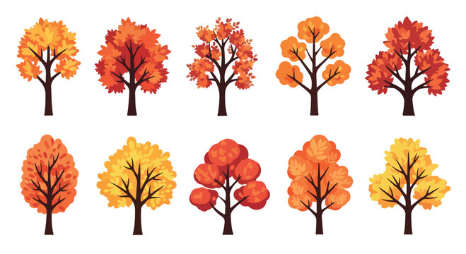 Autumn tree vector collection, set of 10 fall foliage trees with orange and yellow leaves, seasonal forest landscape elements for nature design