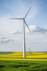 Wind turbines in rapeseed and green wheat fields under blue sky, sustainable agriculture and renewable energy © Esta Webster