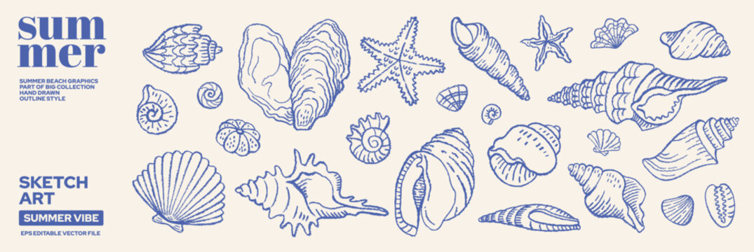 Seashell set. Vintage sea illustration with shell and starfish in outline style. Beach shell vector graphic for coastal design, summer print and ocean art. Italian Amalfi blue color doodle seashell bg