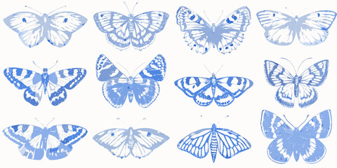 A collection of delicate blue butterflies in various poses and patterns © SreemotiRaba