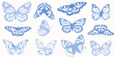An assortment of blue butterflies with delicate wing patterns displayed © SreemotiRaba
