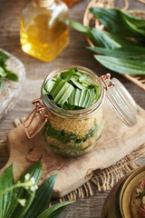 Preparation of homemade herbal syrup for cough from fresh ribwort plantain leaves © Madeleine Steinbach