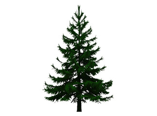 Fototapeta premium A simple yet elegant Christmas tree on a clean white background