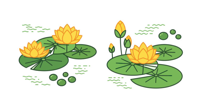 Yellow Water Lilies with Green Lily Pads and Rippling Water - Vector Illustration