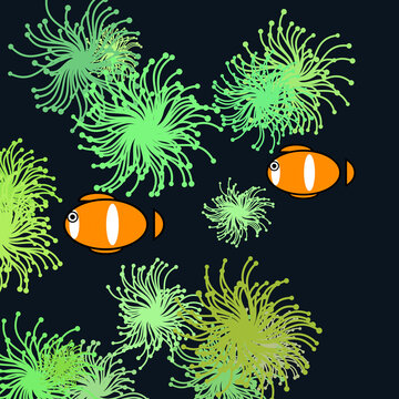 Vibrant Clownfish Swimming in Deep Blue Sea