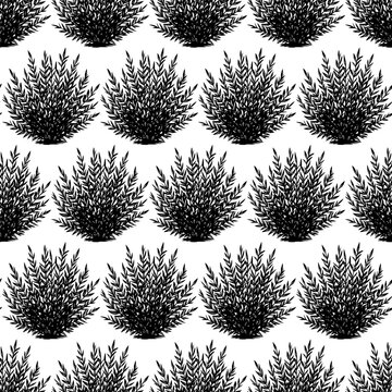 Lush bushes and thickets on a seamless pattern. Vector illustration. Grass and shrubs. Hand-drawn sketch, isolated on a white background.