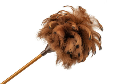 Feather duster with brown and black feathers on a stick
