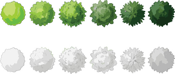 Tree top‑down illustrations collection, green and grayscale foliage, landscape design elements, black vector graphic, nature icon, architectural visualization, isolated © Sabbir's World