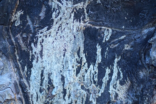 gray black texture of a charred wooden board