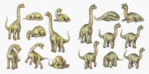 Set of Brontosaurus dinosaurs in various poses, hand-drawn illustration on transparent background. © Akun