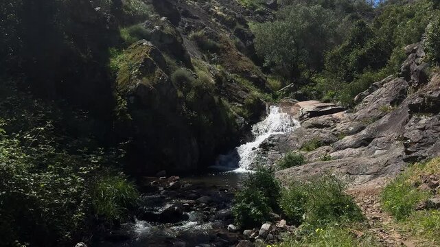 View of a beautiful and healthy forest river in the Monchique region.