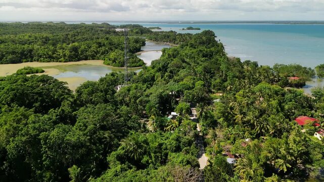 Aerial flyover of a small village surrounded by dense tropical forest and coastal waters in Buenavista, Guimaras, Philippines during daytime.