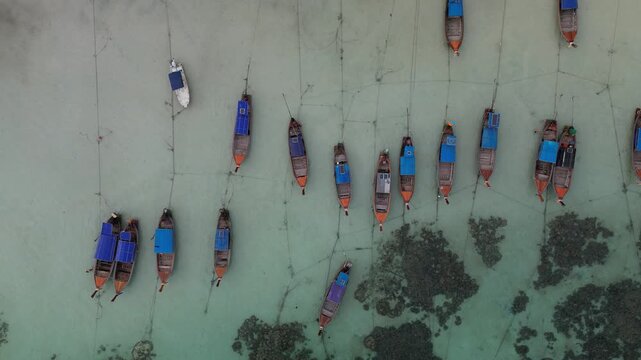 Aerial top-down drone shot tracking over rows of colorful Thai longtail boats anchored in crystal-clear turquoise shallow water with sandy seabed visible below.