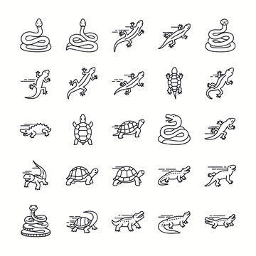 Collection of line art icons representing various reptiles including snakes, lizards, turtles, and crocodiles in different poses and actions.