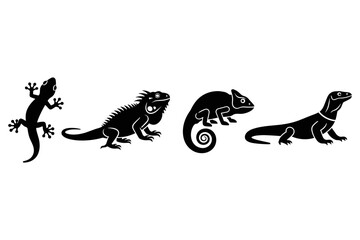 Lizard Silhouettes Collection © Precious