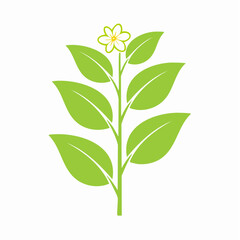 Obraz premium Stylized Green Plant with White Flower