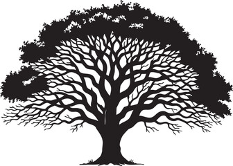 Obraz premium Black and white silhouette of a twisted solitary old tree with sprawling branches gnarled tree